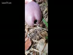An insane incident involving a man who had something stuck in the dip of his non-erect 10-Pounder outdoors
